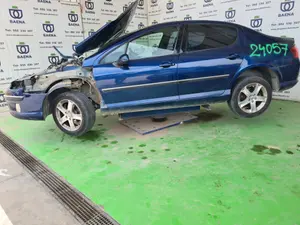 PEUGEOT 407 foto 2