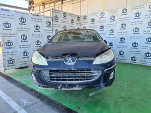 PEUGEOT 407 foto 1
