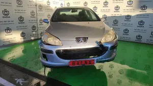 PEUGEOT 407 foto 1