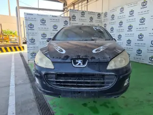 PEUGEOT 407 foto 1