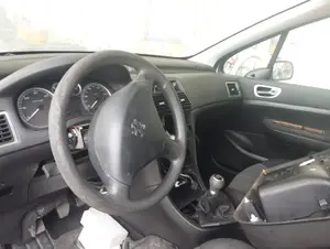 PEUGEOT 307 (S1)(04.2001) foto 3