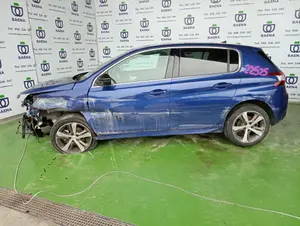PEUGEOT 308 foto 1