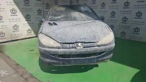 PEUGEOT 206 foto 1