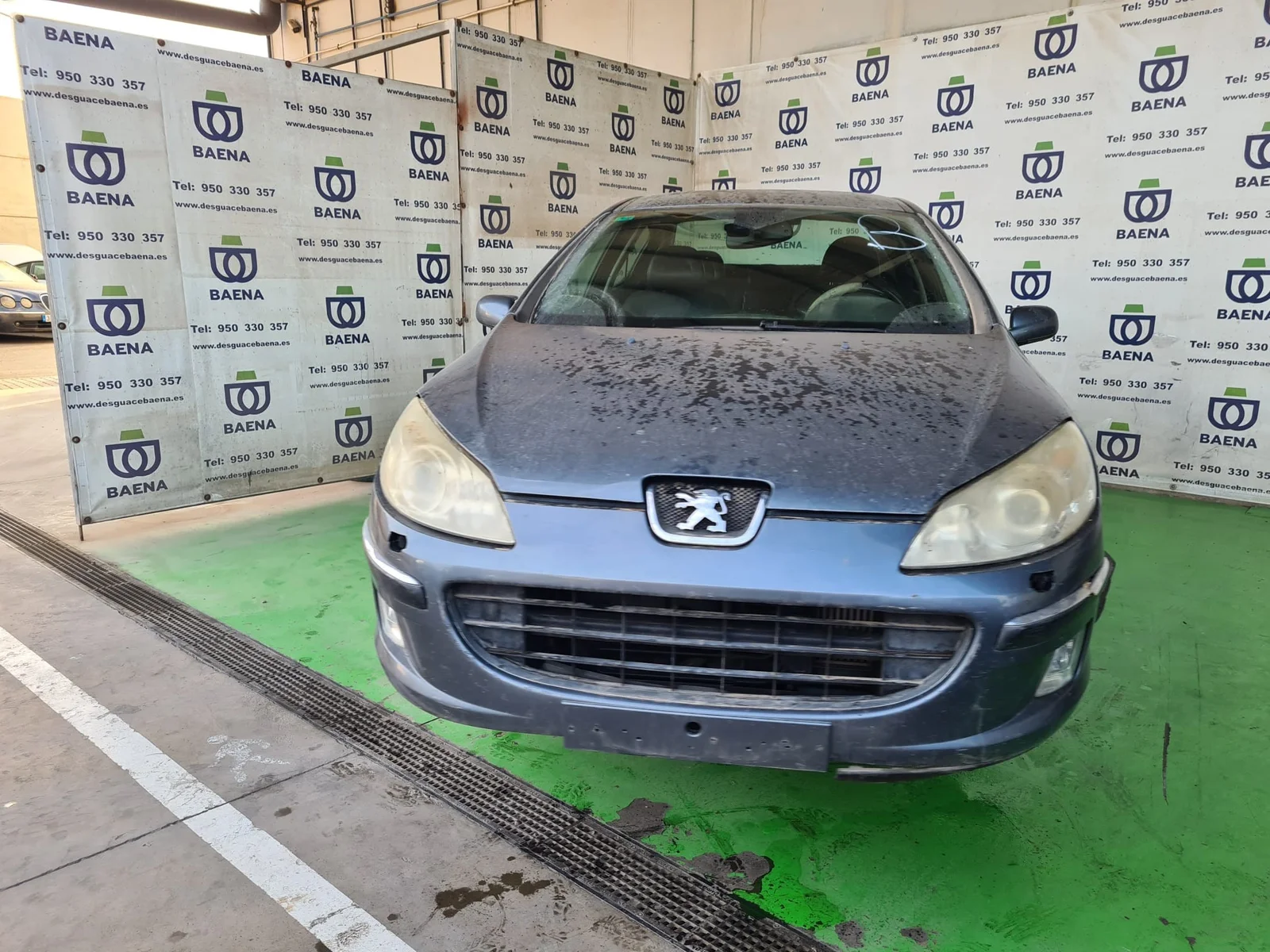 PEUGEOT 407