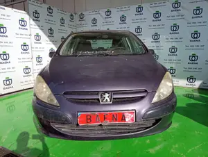PEUGEOT 307 (S1)(04.2001) foto 1