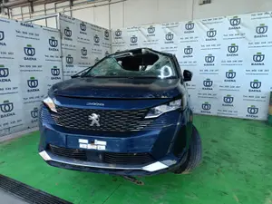 PEUGEOT 3008 foto 1