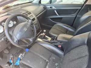 PEUGEOT 407 foto 1