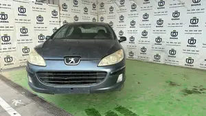 PEUGEOT 407 foto 1