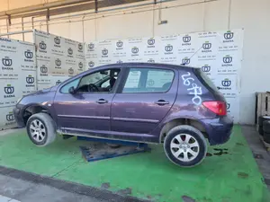 PEUGEOT 307 (S1)(04.2001) foto 6
