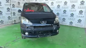 PEUGEOT 1007 foto 1
