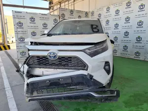 TOYOTA RAV4 foto 1