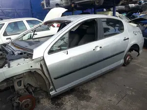PEUGEOT 407 foto 1
