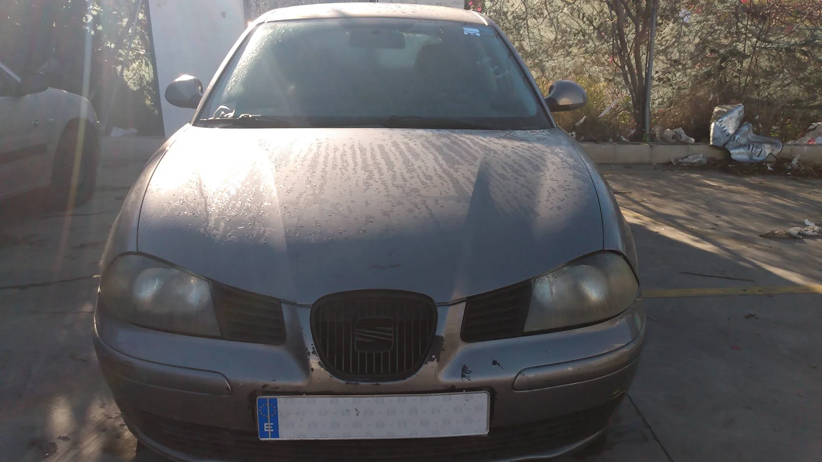 SEAT IBIZA (6L1)