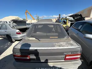 PEUGEOT 309 foto 6