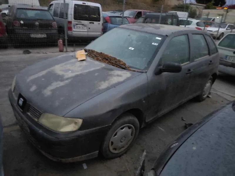 SEAT IBIZA (6K1)