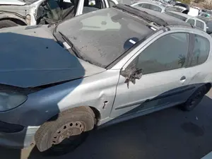 PEUGEOT 206 foto 2