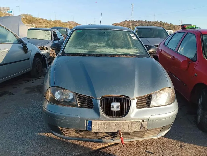 SEAT IBIZA (6L1)