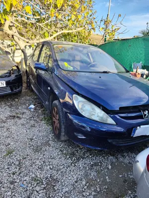 PEUGEOT 307 (S1)(04.2001) foto 1