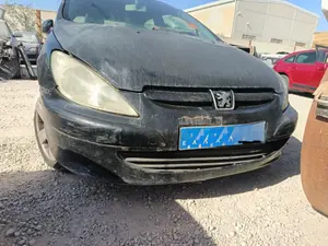 PEUGEOT 307 (S1)(04.2001) foto 5