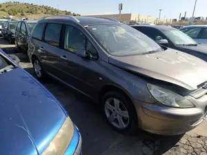 PEUGEOT 307 BREAK / SW (S1)(04.2002) foto 2