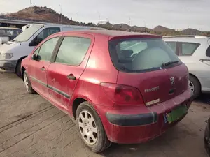 PEUGEOT 307 (S1)(04.2001) foto 3