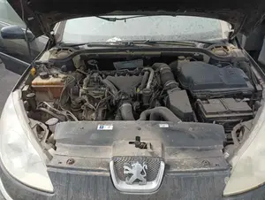 PEUGEOT 407 foto 5
