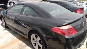 PEUGEOT 407 COUPÉ foto 2