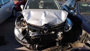 RENAULT CLIO IV foto 1