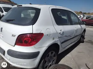 PEUGEOT 307 (S1)(04.2001) foto 5