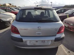 PEUGEOT 307 (S1)(04.2001) foto 4