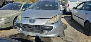 PEUGEOT 307 BREAK/ SW (S2) foto 1