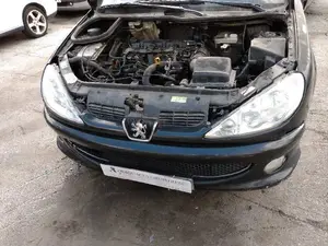 PEUGEOT 206 foto 1