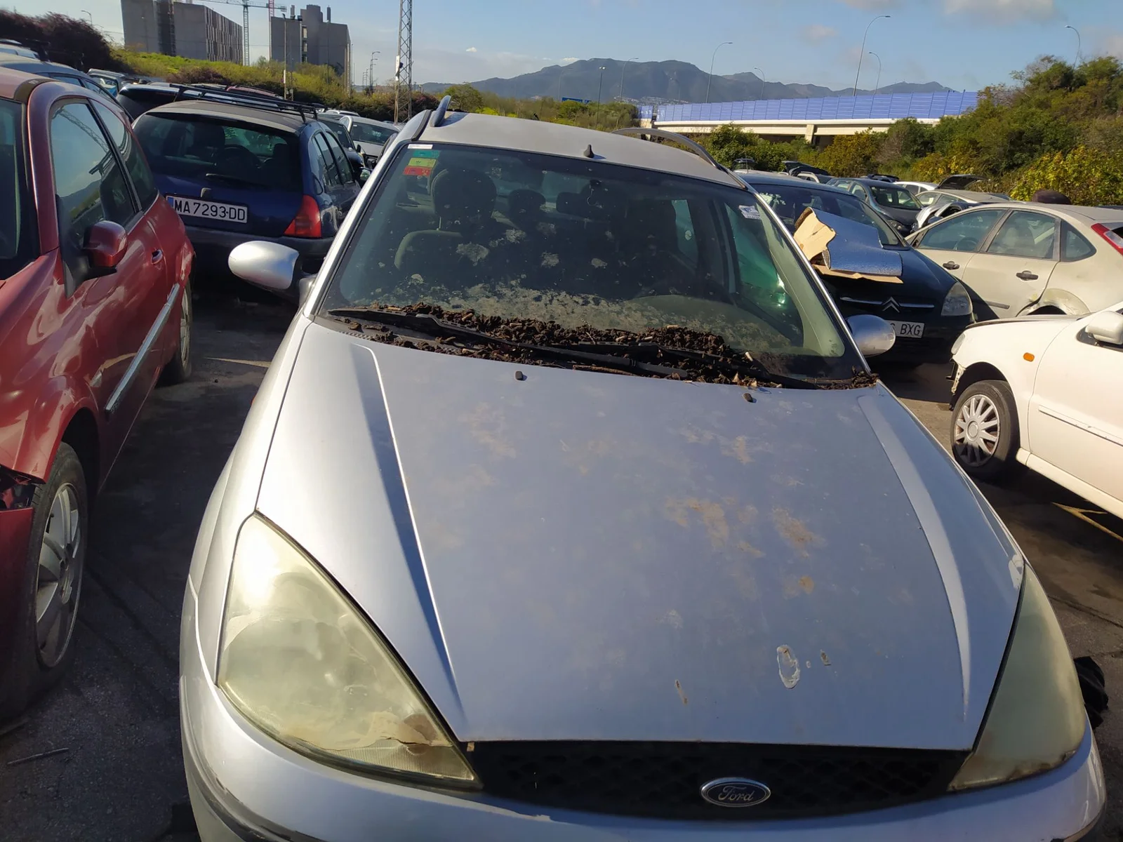 FORD FOCUS FAMILIAR (CAK)