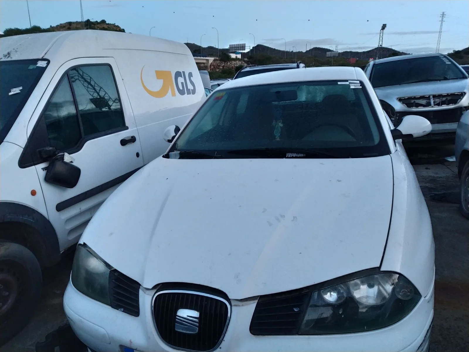 SEAT IBIZA (6L1)
