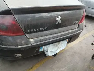 PEUGEOT 407 foto 4