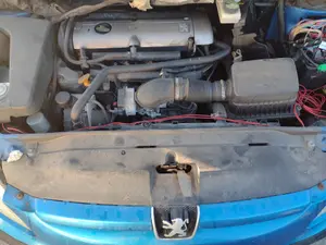 PEUGEOT 307 BREAK / SW (S1)(04.2002) foto 7