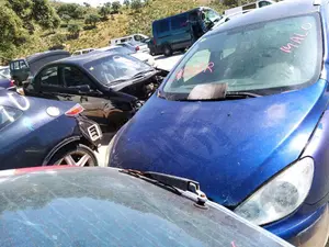 PEUGEOT 307 BREAK / SW (S1)(04.2002) foto 1
