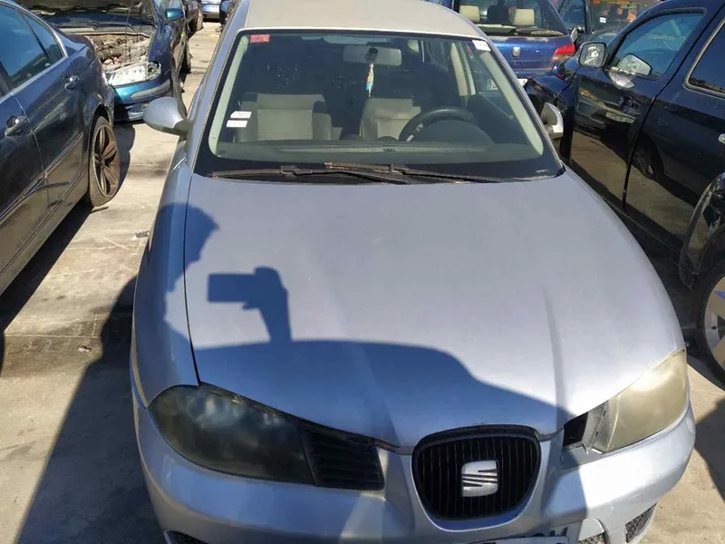 SEAT IBIZA (6L1)