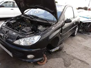 PEUGEOT 206 foto 5