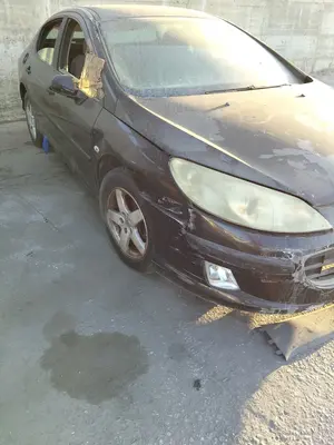 PEUGEOT 407 foto 2