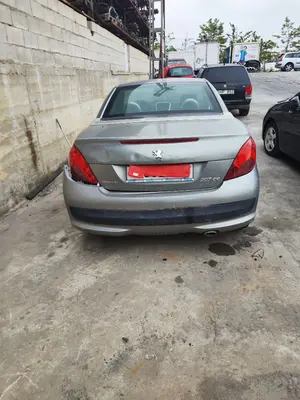 PEUGEOT 207 CC CABRIO-COUPÉ foto 8