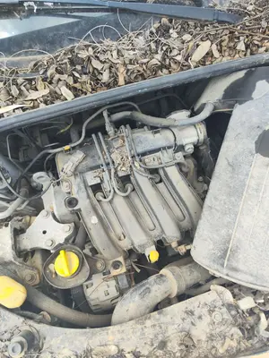 RENAULT CLIO III foto 7