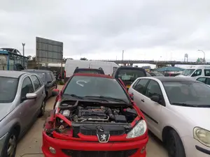 PEUGEOT 206 foto 5