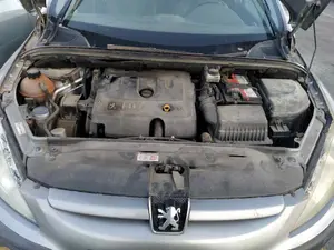 PEUGEOT 307 BREAK / SW (S1)(04.2002) foto 4