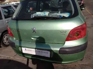 PEUGEOT 307 (S1)(04.2001) foto 7