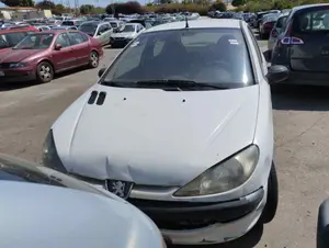 PEUGEOT 206 foto 1