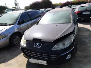 PEUGEOT 407 foto 1