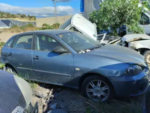 SEAT IBIZA (6L1) foto 3