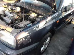 VOLKSWAGEN GOLF III (1H1)(11.1991) foto 3