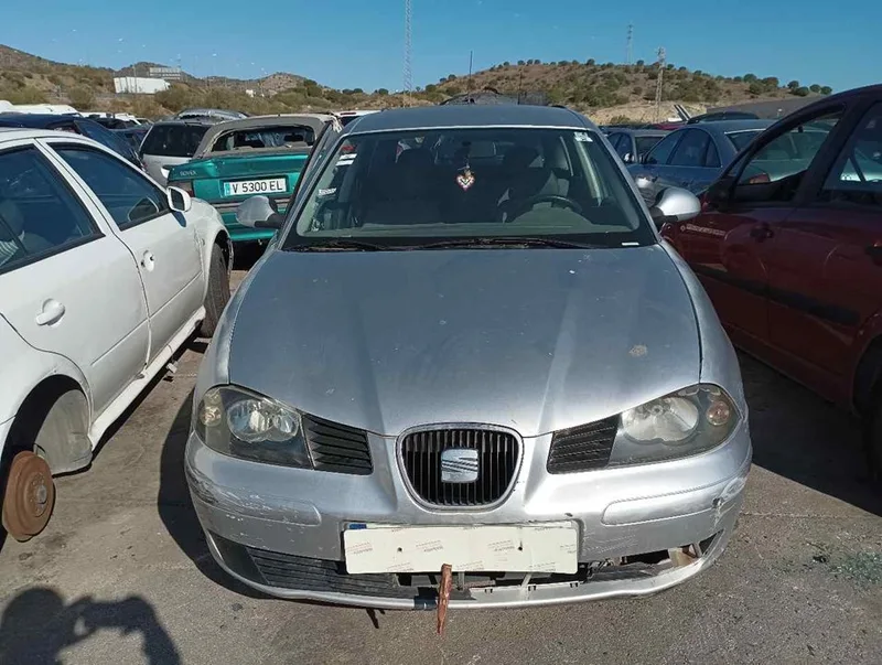 SEAT IBIZA (6L1)